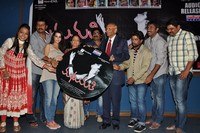 Madhumati Movie Audio Release
